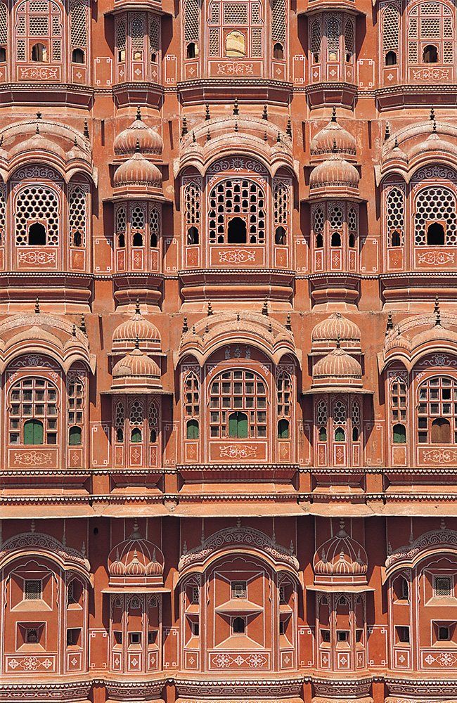 the wild path.in gallery1