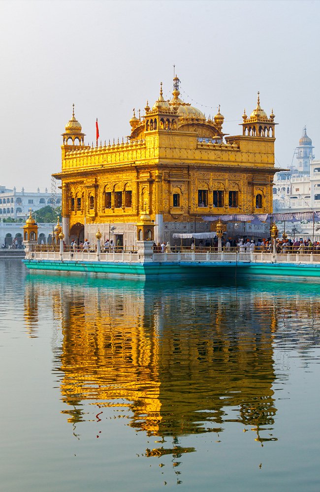 the wild path.in gallery10