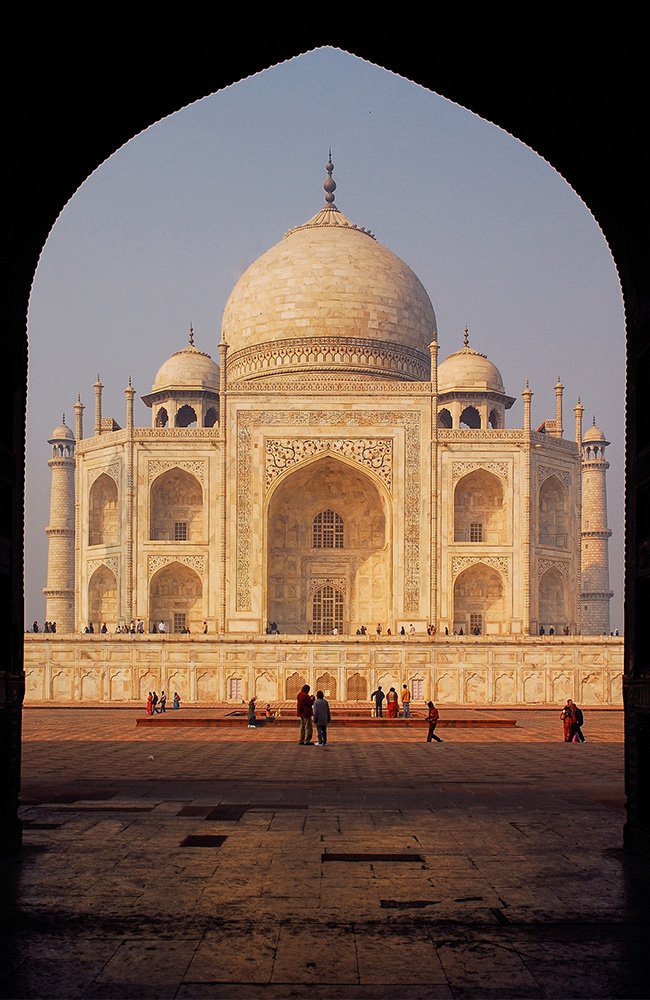 the wild path.in gallery11