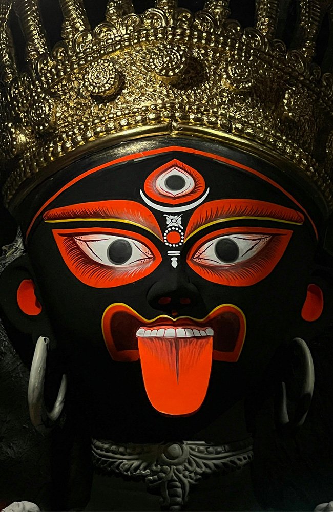 the wild path.in gallery13