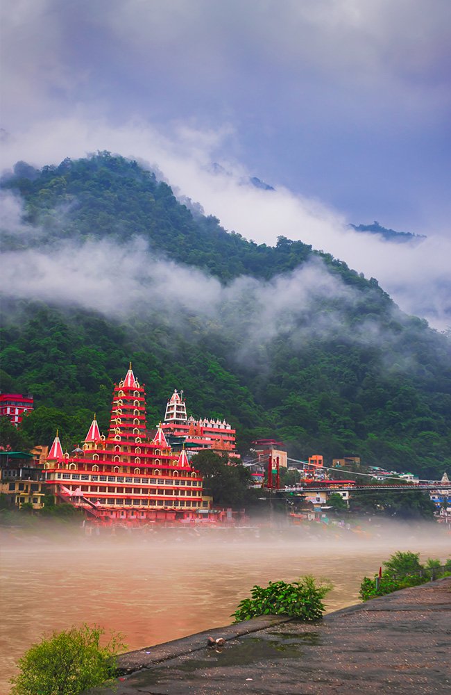 the wild path.in gallery15