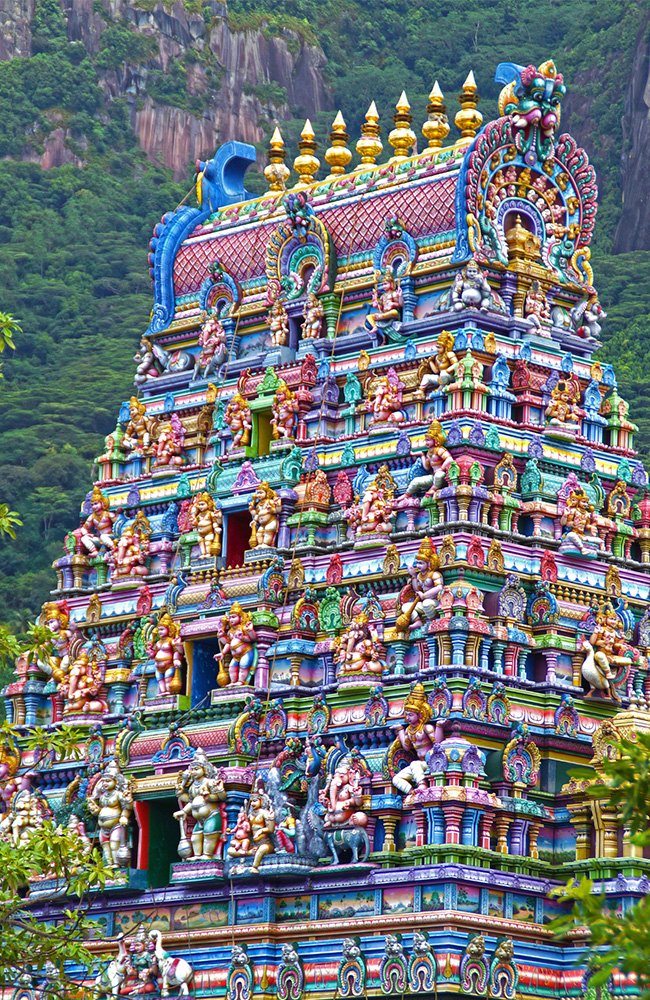 the wild path.in gallery3