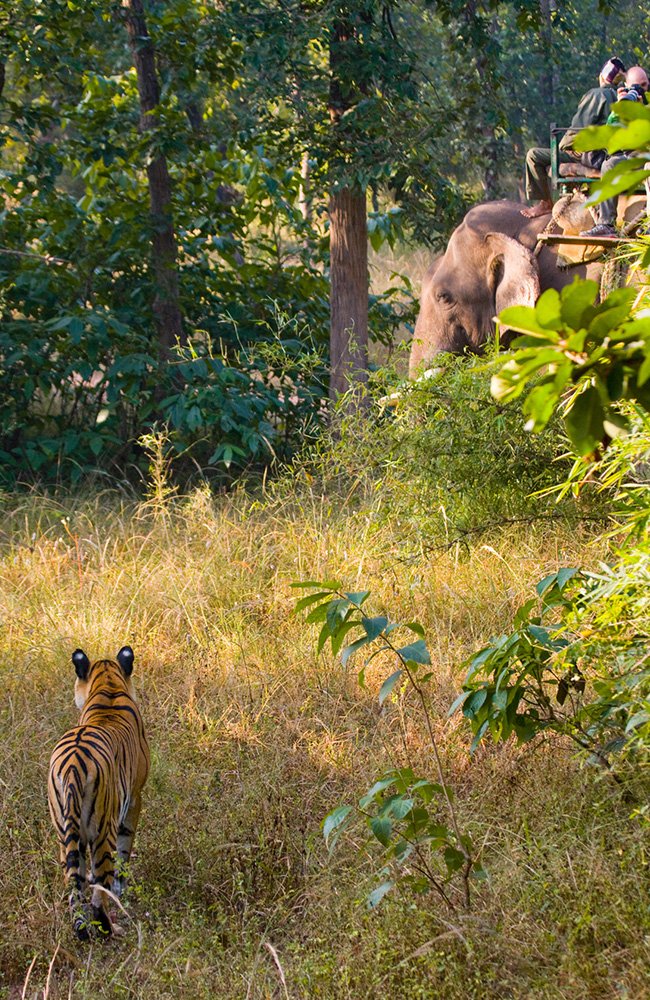 the wild path.in gallery6