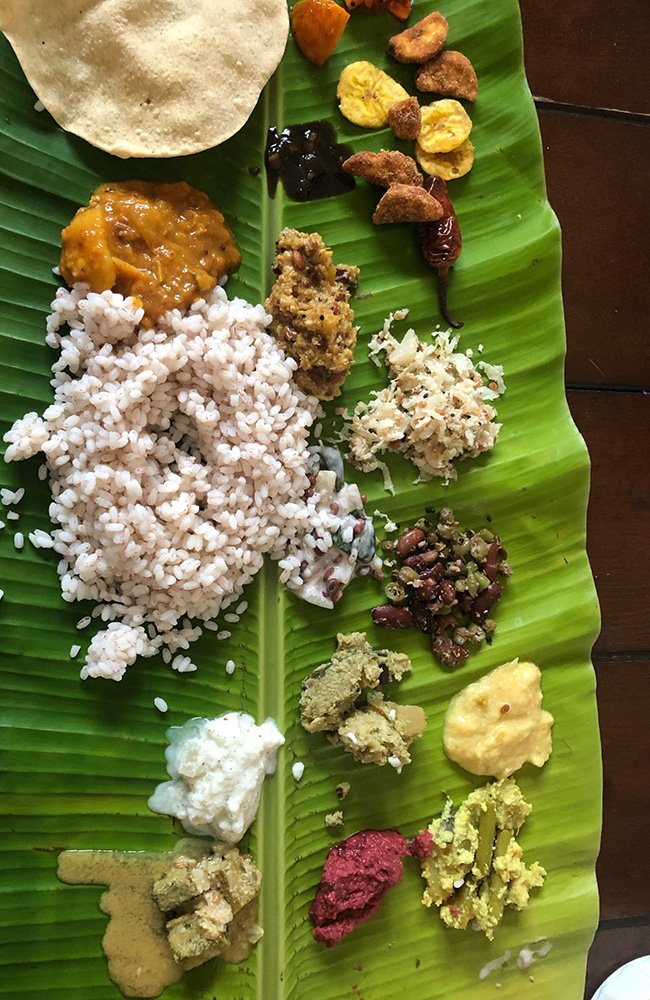 the wild path.in gallery7